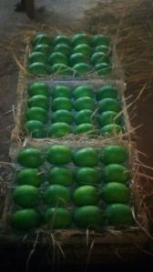 Regular Grade A Ratnagiri Alphonso (Haphoos) Mangoes