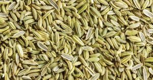 Fennel Seeds