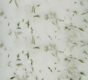 Pista White
