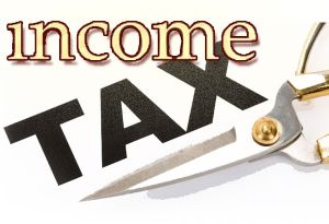 Income Tax Consultants