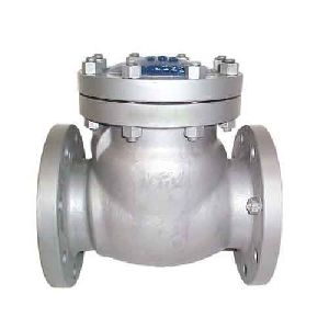 Mild Steel Check Valves