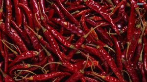 Dried Red Chilli