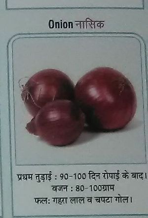 Nasik Fresh Onion seed