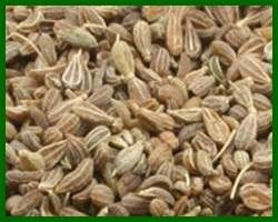 Anise Seed