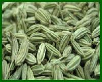 Fennel Seeds