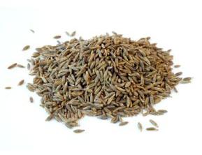 Cumin Seeds