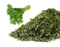 Dehydrated Coriander Leaves