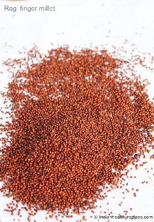 Finger Millet Seeds