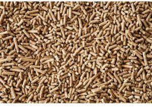 Biomass Pellets