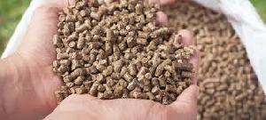 Parimal Cattle Feed