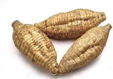 Arrowroot