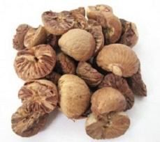 Betel Nut