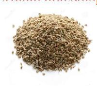 Carom Seed