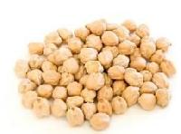 Chickpea