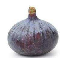 Fig