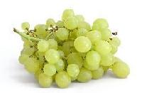 Fresh Grapes