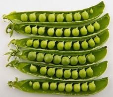 Fresh Peas