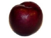 Fresh Plum