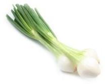 Spring Onion