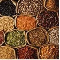 grains pulses