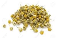 Chamomile Flower