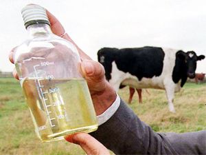 Distilled Cow Urine