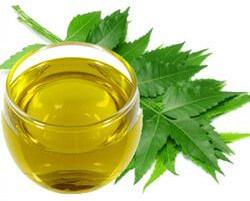 Neem Oil