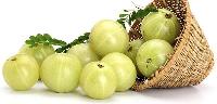 Fresh Gooseberry