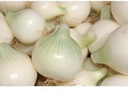 Fresh White Onion