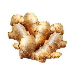 Organic Ginger