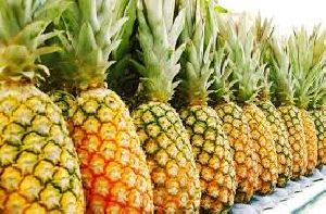 Fresh Pine Apple