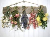 decorative dry flowers
