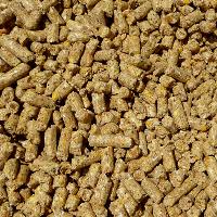 Organic Dairy Cattle Feed