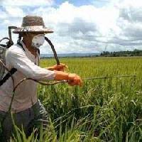 Organic Pesticides