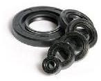 Oil seal kit