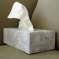 Soft Facial Tissue Paper Box 200 Pulls