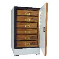 Insect Showcase Cabinet