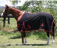 horse clothing