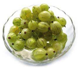 Indian Gooseberry