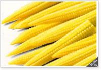 Frozen Baby Corn