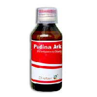 Pudina Ark