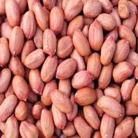 Hps Groundnuts