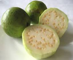 Fresh Guava