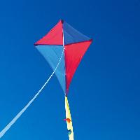 wooden kite
