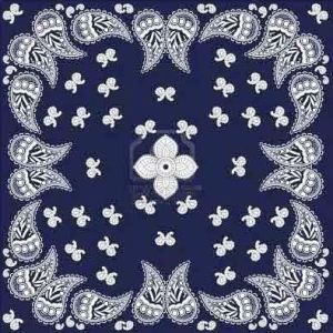 paisley bandana