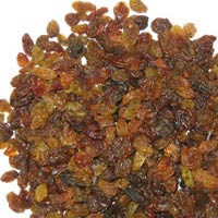 Malayar Raisins