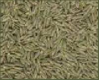 Cumin Seeds