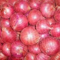 Fresh Onions