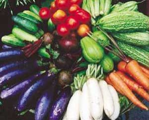 Fresh Vegetables