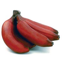 Red Banana